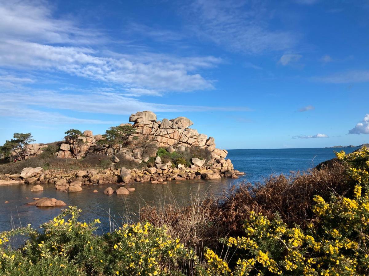 Les Hortensias A 50 M De La Plage De Trestraou Perros-Guirec Buitenkant foto